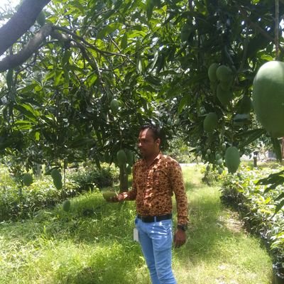 mr_akw's profile picture. All hybrid fruit plants available