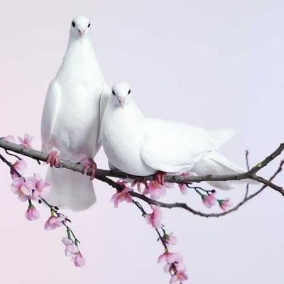 sathiya_ks's profile picture. Sathya
12th finished
I am married
