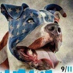 RobAnybody7's profile picture. 