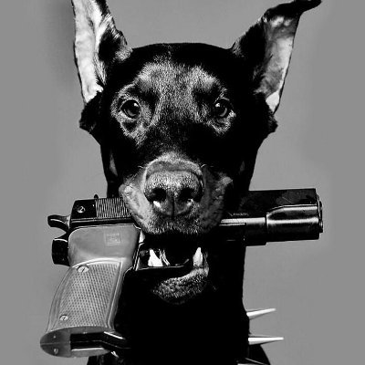 KristenJamieso3's profile picture. stuart