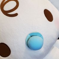かれん (@karenpipipiys) 's Twitter Profile