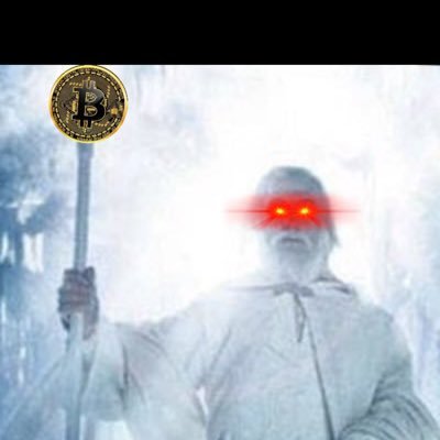 cryptonoob666 Profile Picture