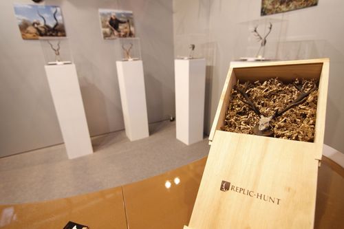 ReplicHunt's profile picture. Realizamos réplicas en miniatura de trofeos de caza en bronce