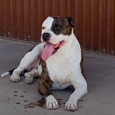 6rg36n9qeqEtzYi's profile picture. 純粋な日本人の心の叫び！