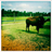 HerdOfMainSt's profile image
