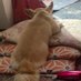 @Blg9DhT3LqKciII