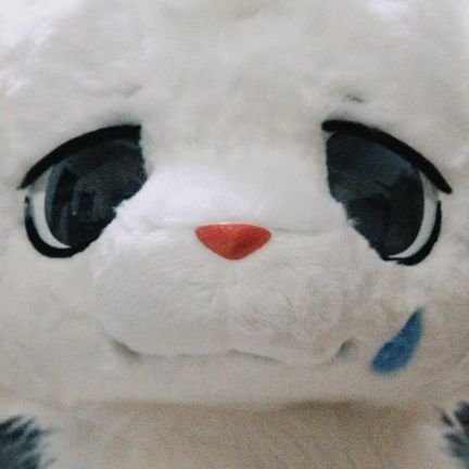 喵姆 ニャム🐱さんのプロフィール画像