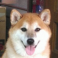 Tomoaki (@tomorrow1966) 's Twitter Profile