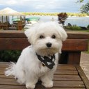 Anne Harker - @mrsamharker - Twitter