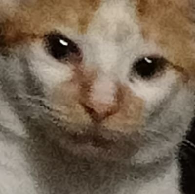 羽さんのプロフィール画像