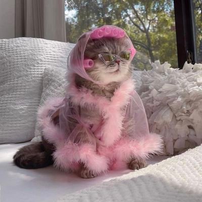 mariel_lujan's profile picture. 