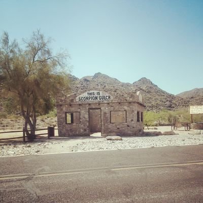 GopherWrangler's profile picture. Gopher! It's what's for dinner in 2026!