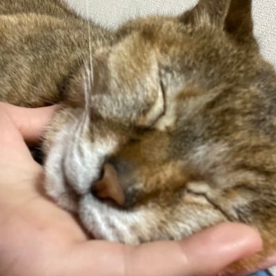 genti149's profile picture. 