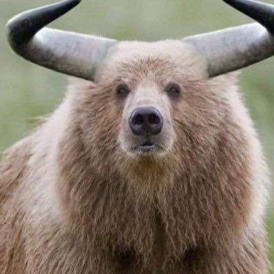 ConflictedBear's profile picture. Market-frustrated bear. Parody account. Inventor of the Snooze button. Honorary mayor of NashVegas. Ride weaponized gamma. Just musings not investment advice.