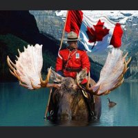Cory & Gio 🐾🇨🇦 (@coryjoy) 's Twitter Profile Photo Cory & Gio 🐾🇨🇦 (@coryjoy) 's Twitter Profile Photo