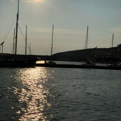 sarhanbens's profile picture. 