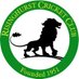 Risinghurst Cricket Club (@Risinghurst_CC) Twitter profile photo