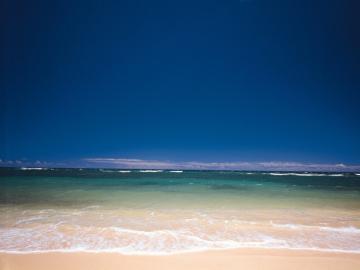 JennySpring1's profile picture. I love Japanese culture, food, and evrything!