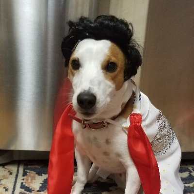 Just being me and free. No DMs weirdos. GETTR@RoscoeP
Christian, Patriot🇺🇸, Family 🐕OBX