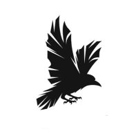 Raven (@ravenistanbul) 's Twitter Profile Photo