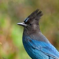Coastal Scribe (@coastal_scribe) 's Twitter Profile Photo Coastal Scribe (@coastal_scribe) 's Twitter Profile Photo