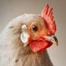 Emme (@backtothetabley) Twitter profile photo Emme (@backtothetabley) Twitter profile photo