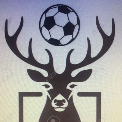 Cuenta oficial de Alcores Mecánicos F.S. Equipo de futbol sala inscrito en la Liga OFM de la Asociación Mapache #AM