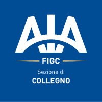 AIA Collegno(@AIACollegno) 's Twitter Profile Photo