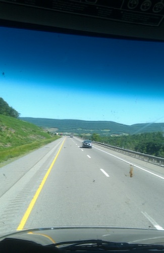 therunningman74's profile picture. 