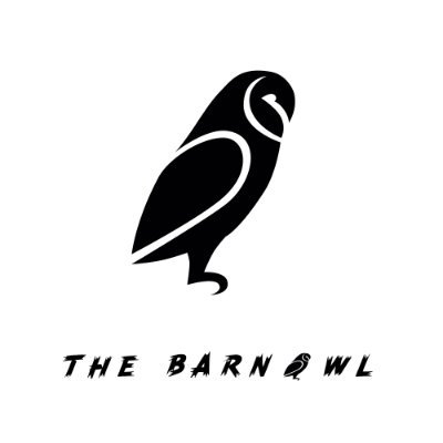 thebarnowlmusic Profile Picture