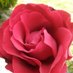 @Jawad4377 (@jawad4377) Twitter profile photo @Jawad4377 (@jawad4377) Twitter profile photo