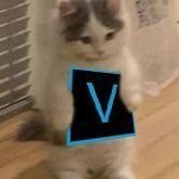 MiniVFX_'s profile picture. Editor/player