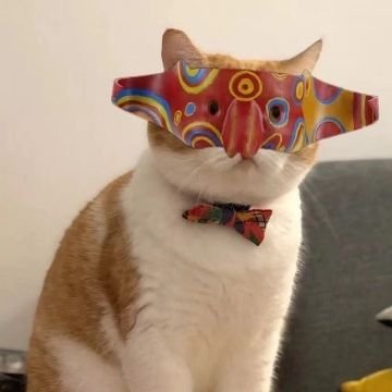 yangwu27905269's profile picture. 爱吃