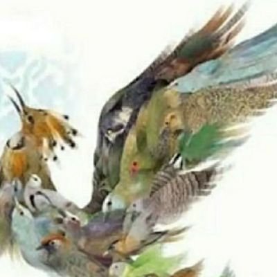 emel_kync's profile picture. Hitit Üniversitesi Adli Bilimler Y.L🔬⚖