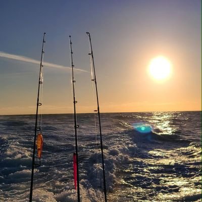 RobertsDoherty's profile picture. 