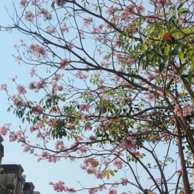 grass___sss's profile picture. ♡