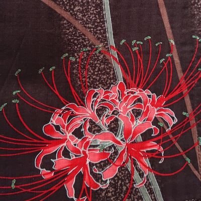 96saki_kimono's profile picture. 着物・特撮・ゴールデンカムイ・歴史・美術中心。最近はインド映画にハマってます。自分のテンポでいろいろ楽しみたい人。無言フォロー失礼します。フォロバ不要です。