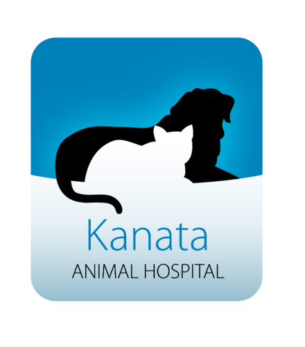 Kanata Animal Hospital has been serving residents of Kanata and the surrounding area for over 25 years!  We consider it a privilege to care for your pets.