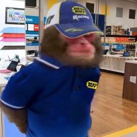 Your Dank Meme Doner (@dankmemedoner) 's Twitter Profile