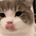 cheez (@cheezball_) Twitter profile photo cheez (@cheezball_) Twitter profile photo