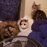 SINGLEMOM69 (@1mom69) 's Twitter Profile Photo