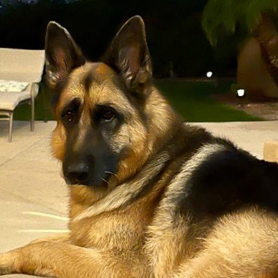 KAUSApatriot's profile picture. Proud American 🇺🇸 🇺🇸 Christian ✝️ MAGA 🌟The 👿 is in the details, don’t be fooled.