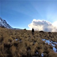 Angela Nava Bolaños 🦕 (@lunalegna) 's Twitter Profile Photo Angela Nava Bolaños 🦕 (@lunalegna) 's Twitter Profile Photo