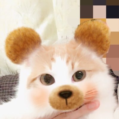 monburan_atr's profile picture. まふまふさんの歌が好き♡推し事のために働くママリスナー。粘土細工がマイブーム✩.*˚