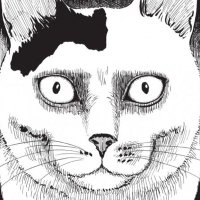 Rat Calzones 🔞 (@ssujinko) 's Twitter Profile Photo Rat Calzones 🔞 (@ssujinko) 's Twitter Profile Photo