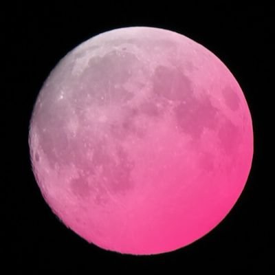 月星雲さんのプロフィール画像