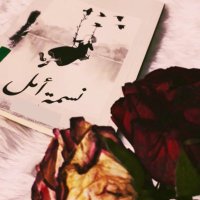 نسمة أمل (@hasah5308) 's Twitter Profile