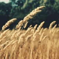 Agri Financial Solutions (@agri_financial) 's Twitter Profile Photo Agri Financial Solutions (@agri_financial) 's Twitter Profile Photo