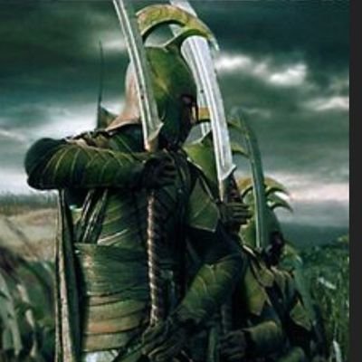 Constitutionist. MAGA. AMC APE , crypto investor, Christian, Anti Zionist, J.J.R Tolkien collector, gamer.
