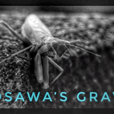 Kurosawa's Grave is a short doc love poem to the great Japanese master of cinema. Prod & Dir. by Ben Lopez @vientofuego currently on the festival circuit.